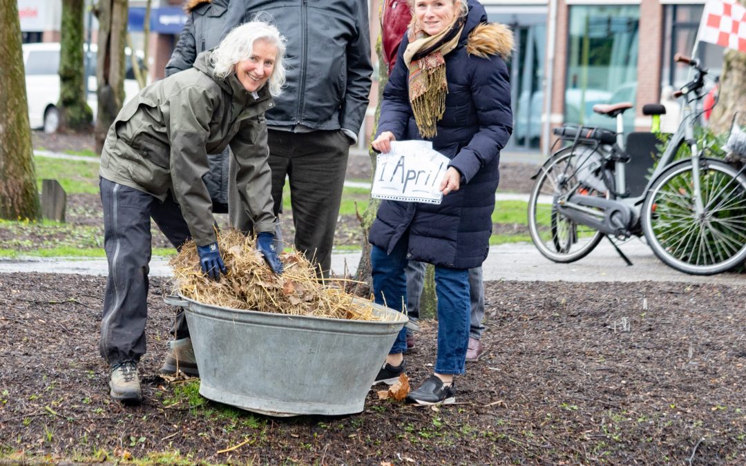 Meerval in Parkvijver