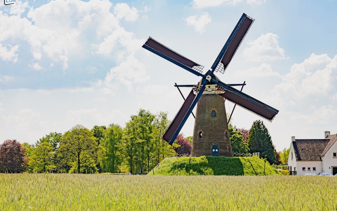 50ste Nationale Molendagen