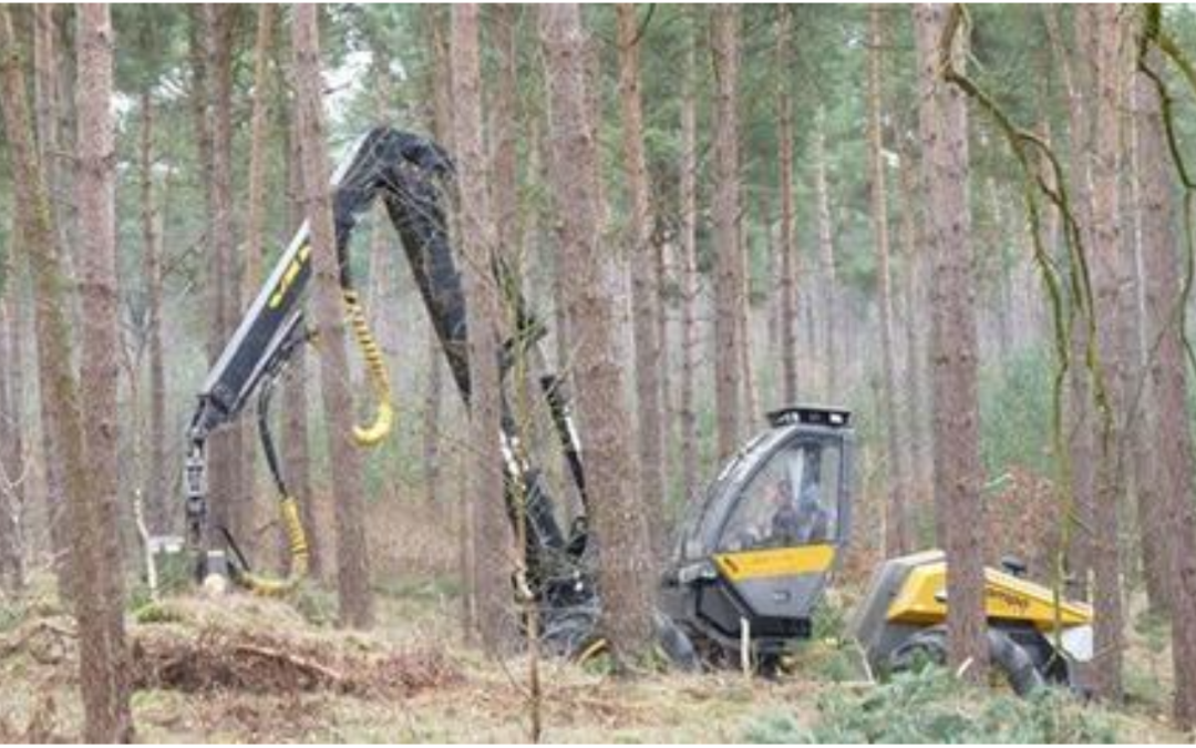 Werkzaamheden bos Papenvoortse heide