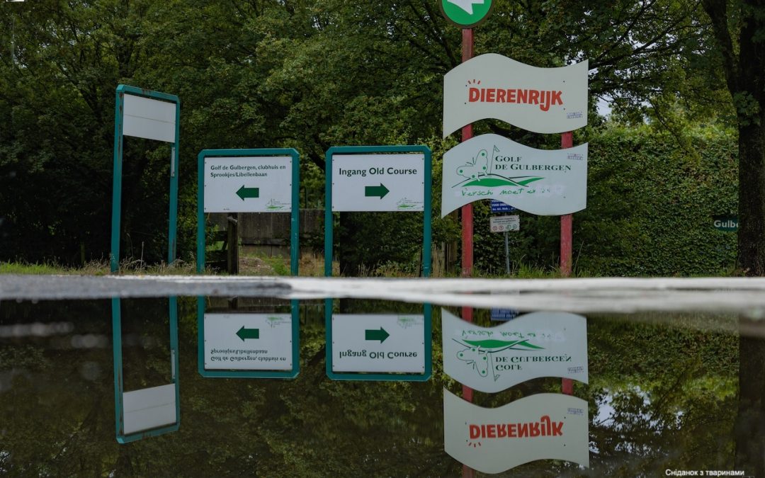 Сніданок з тваринами