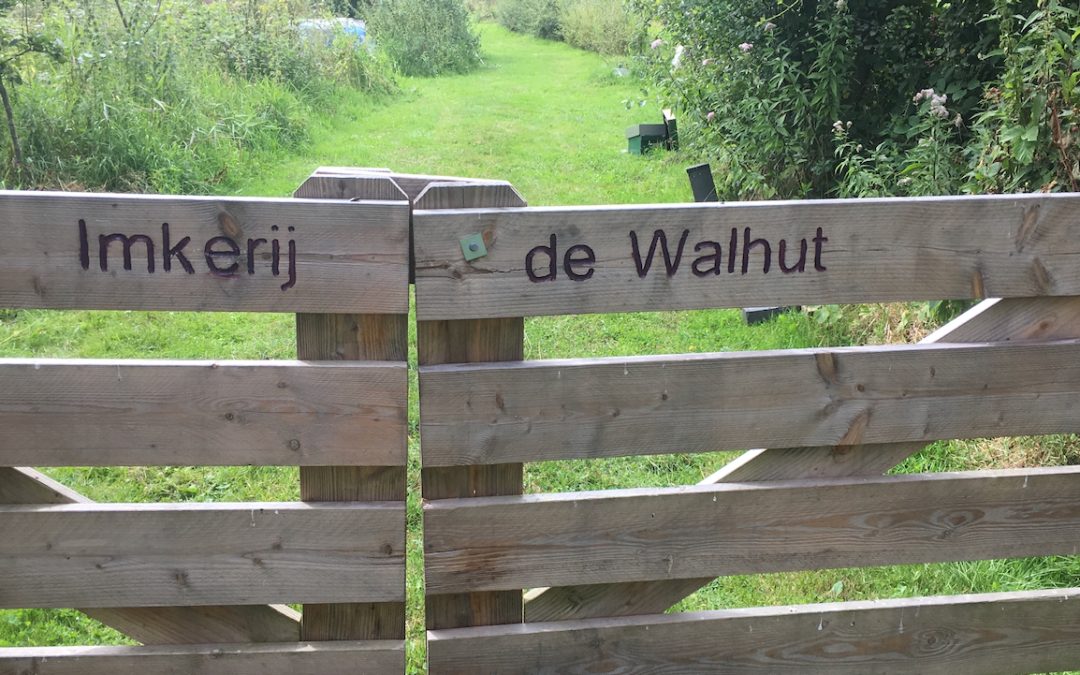 Open dag imkerij de Walhut 